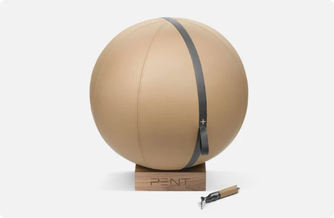 MESNA™ PREMIUM LEATHER FITNESS BALLS​